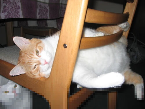 米兰登录入口-NBA防守体系变化研究，nba防守新规则