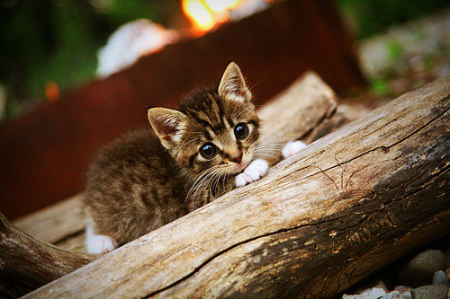 -教练员培训班开设专题课程聚焦现代战术理念与数据分析，起底“教练技术”培训