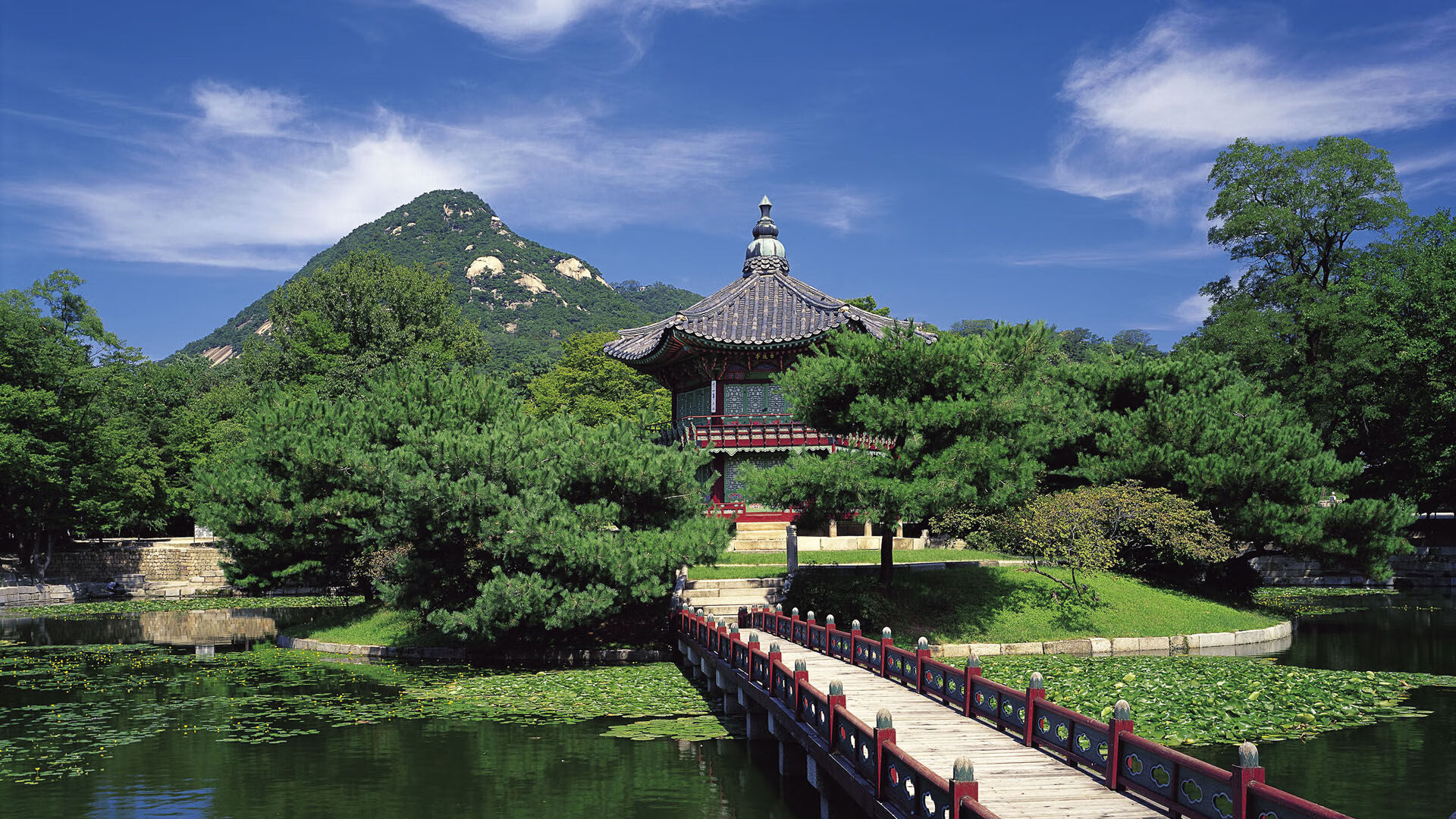 美洲杯明星盛放：荣耀瞬间，精彩无限！，美洲杯人气